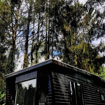 Heerlijk Chalet Midden In De Natuur Putten Ngoại thất bức ảnh